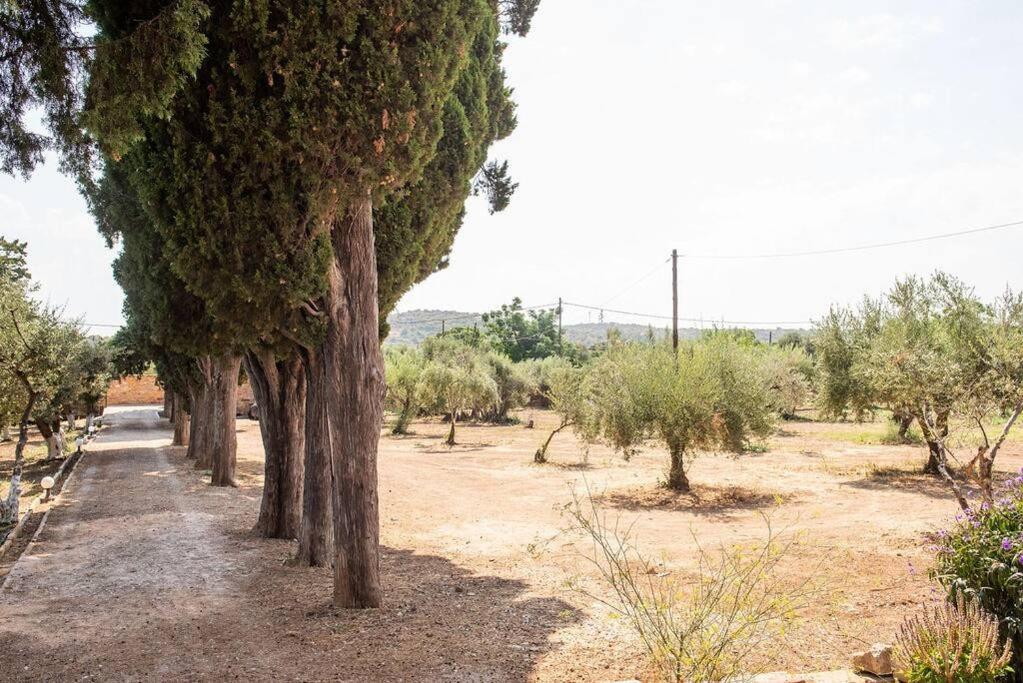 Calvocoressi Estate Quios Exterior foto